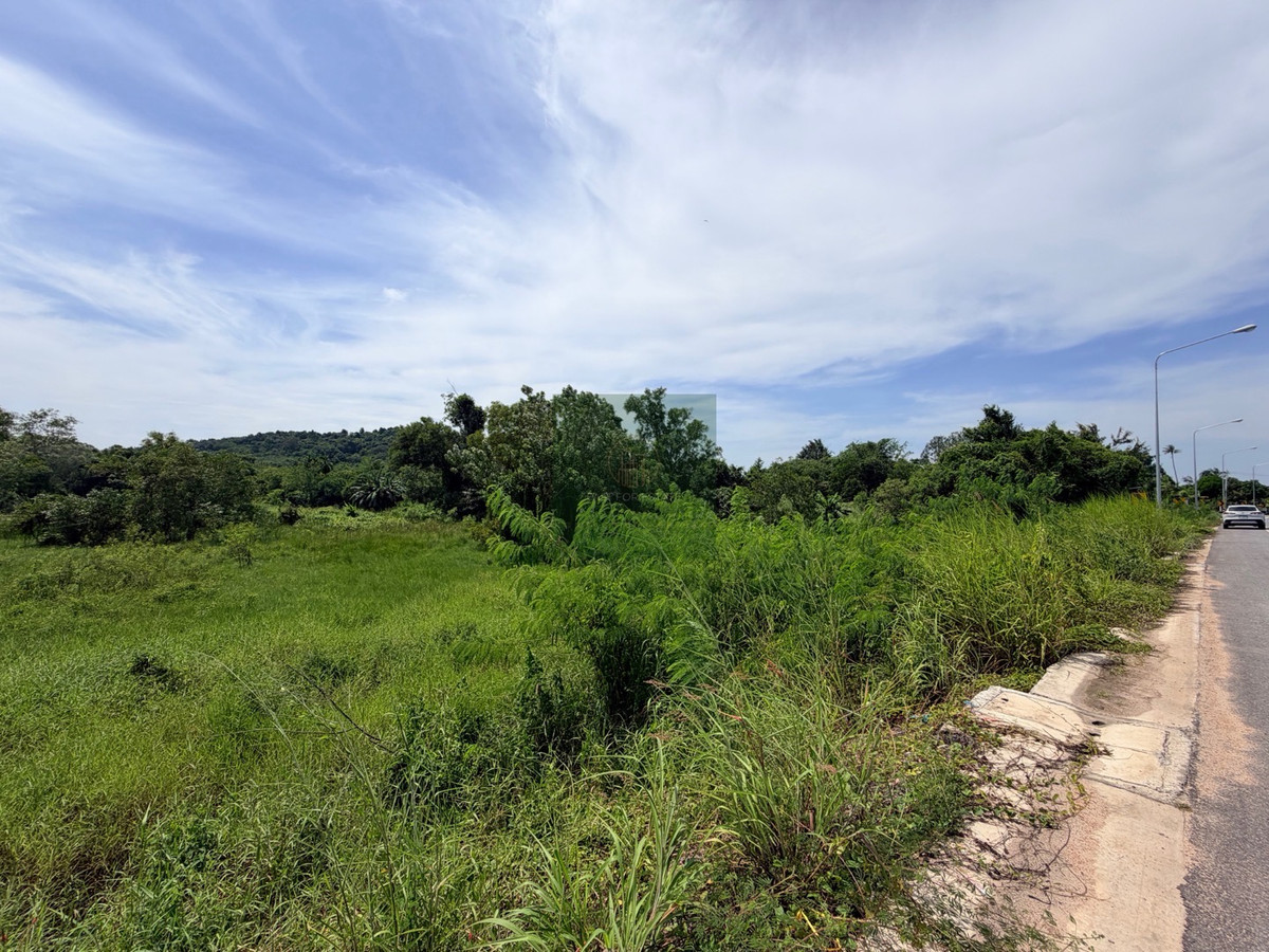 Urgent sale‼️Empty land, beautiful plot, newly renovated 4 lane road, Thap Ma Subdistrict, very cheap. – รูปที่ 3