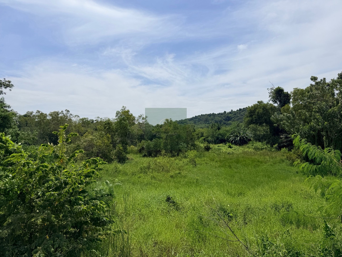 Urgent sale‼️Empty land, beautiful plot, newly renovated 4 lane road, Thap Ma Subdistrict, very cheap. – รูปที่ 4