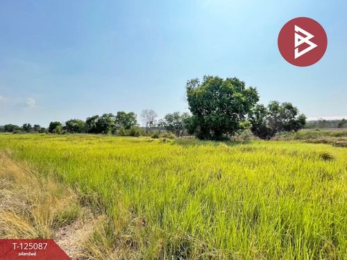 Urgent sale of land, area 1 rai, Bang Nam Priao, Chachoengsao, good atmosphere.