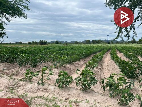 Land for sale, area 2 rai 72.9 sq m, Ban Pong, Ratchaburi.