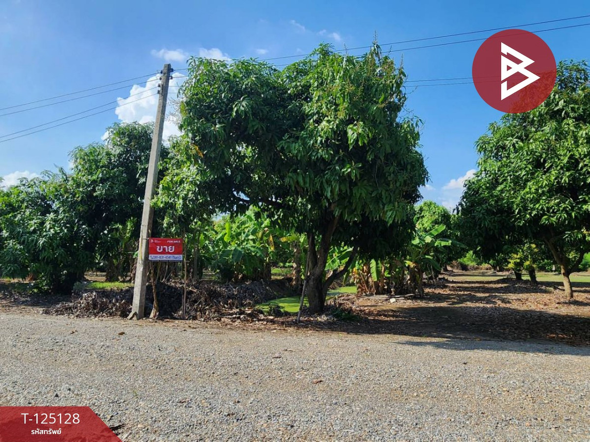 Mango orchard land for sale, area 2 rai 2 ngan 3 square wah, Ban Suan Pho Thong project, Suphan Buri. – รูปที่ 2