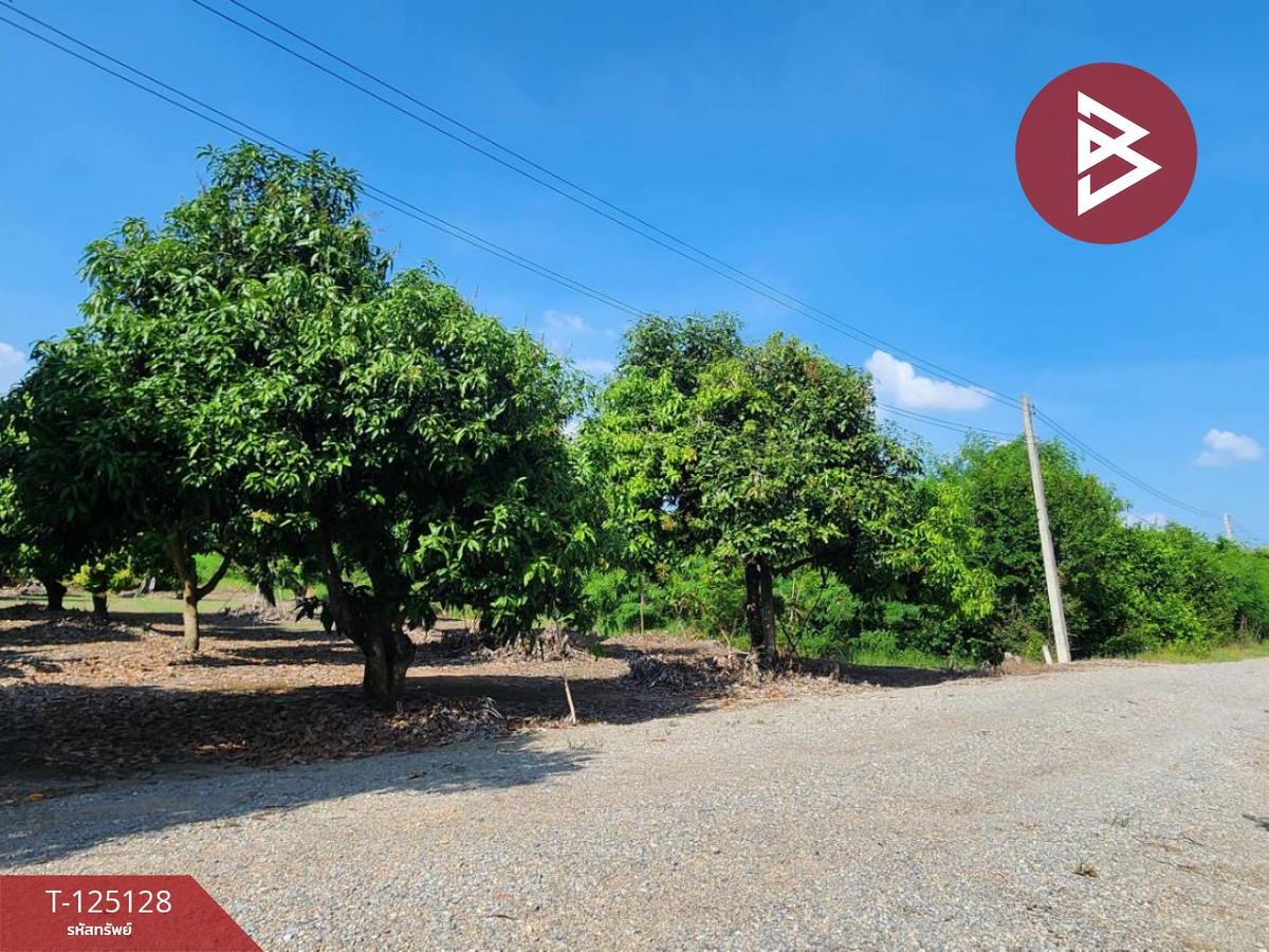 Mango orchard land for sale, area 2 rai 2 ngan 3 square wah, Ban Suan Pho Thong project, Suphan Buri. – รูปที่ 4