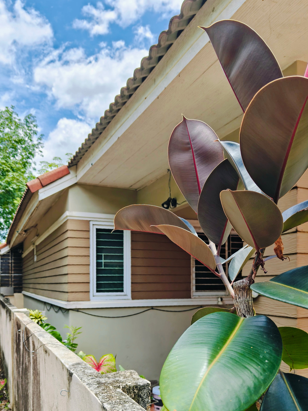 🏡 ขายบ้านเดี่ยวชั้นเดียว พร้อมเข้าอยู่ ทำเลดีใกล้7-11 น้ำไม่ท่วม ✨