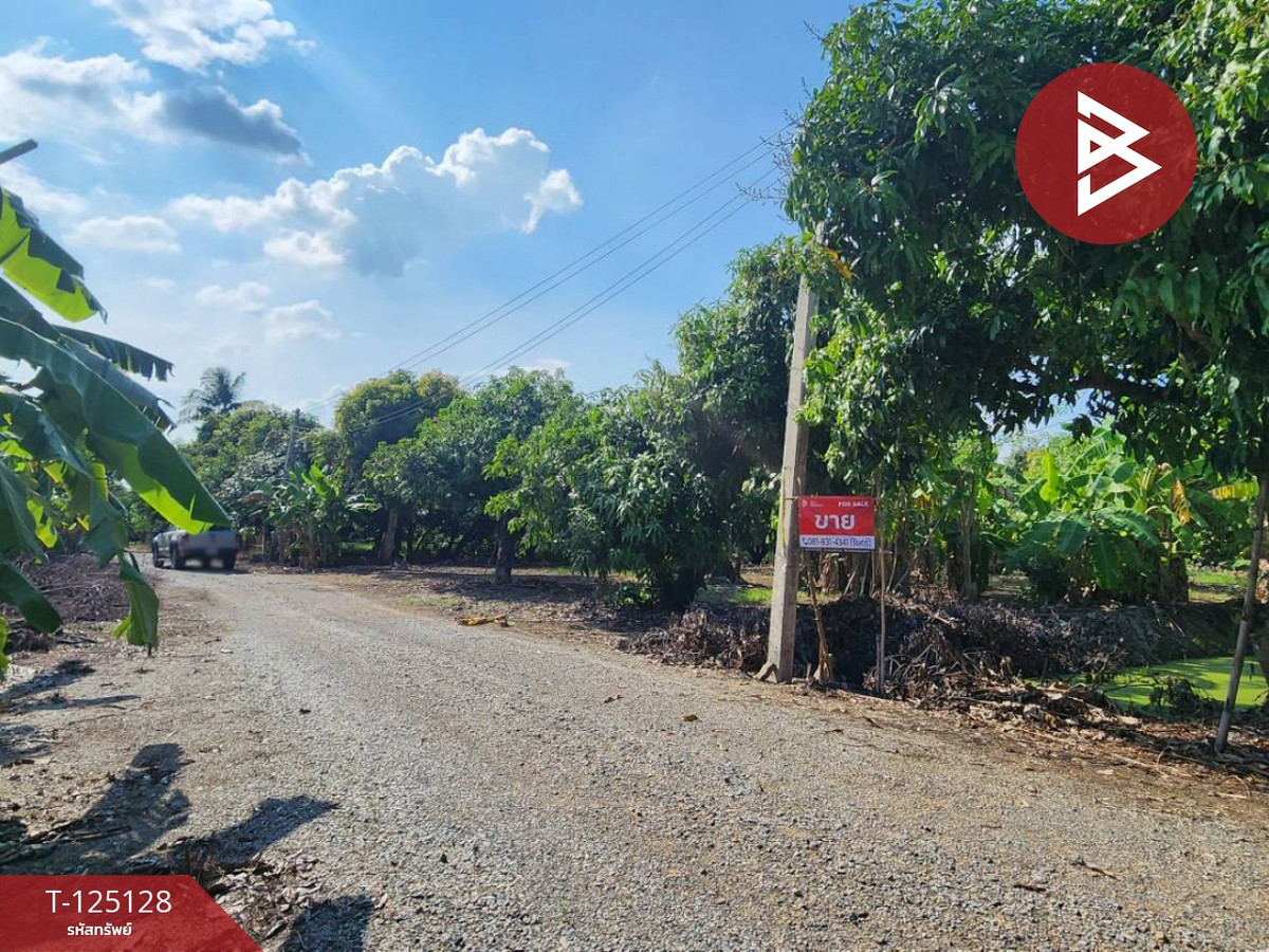 Mango orchard land for sale, area 2 rai 2 ngan 3 square wah, Ban Suan Pho Thong project, Suphan Buri. – รูปที่ 3