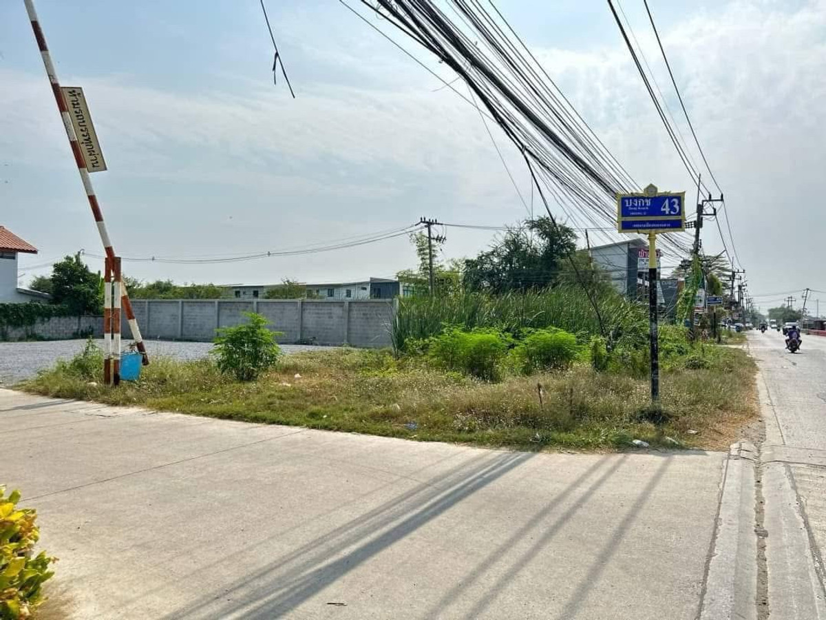 💥📌 Land for sale already filled 💥📌 📍Land details📍 It's a community source. There are many ways to enter and exit. The front of the plot is next to the road along Khlong 2. At the end of the plot, next to a paved road, you can enter and exit. Convenient tr – รูปที่ 4