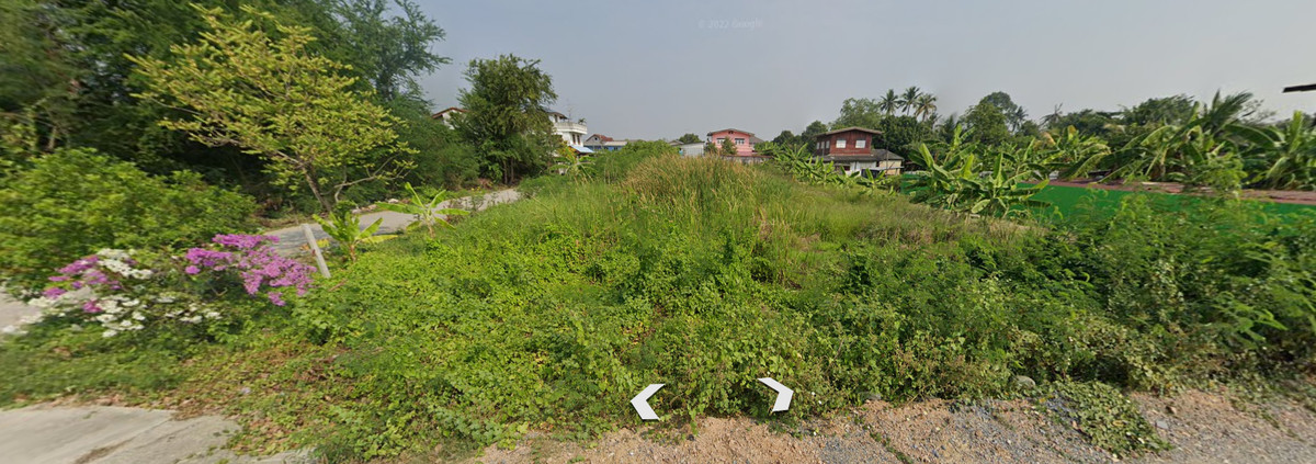ที่ดินซอยเพชรเกษม 88 แปลงสวยหน้ากว้าง 350 ตร.ว. 7นาทีถึง เดอะมอลล์บางแค – รูปที่ 3
