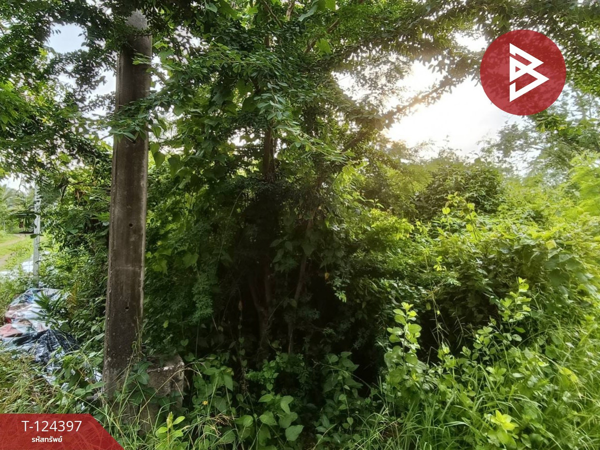 Land for sale, area 2 rai 3 sq m, Mae Klong, Samut Songkhram – รูปที่ 3