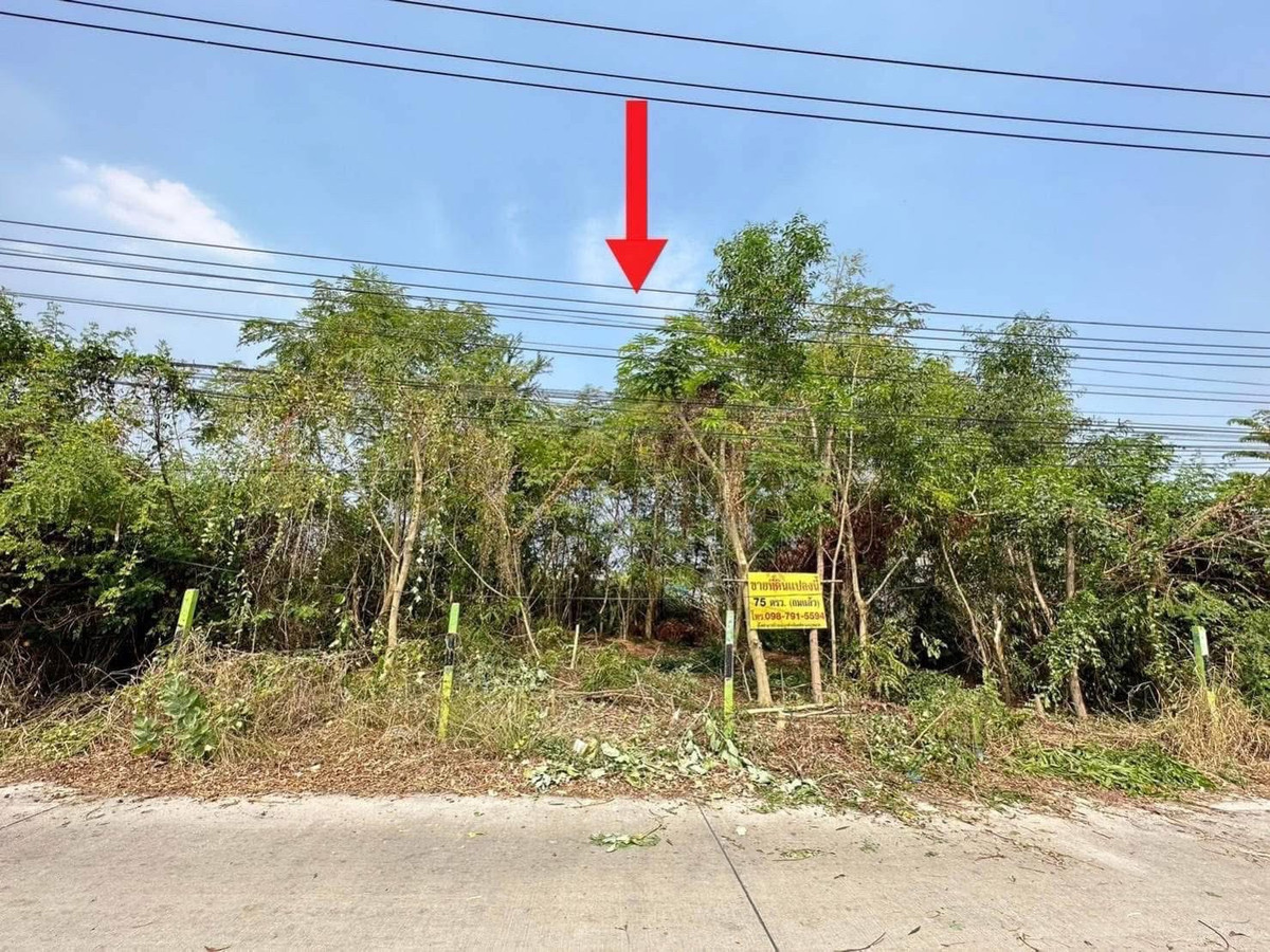 Land for sale, already filled in, size 75 sq m., Liap Khlong 2 Road, Khlong Luang Subdistrict, Khlong Luang District, Pathum Thani Province. – รูปที่ 3