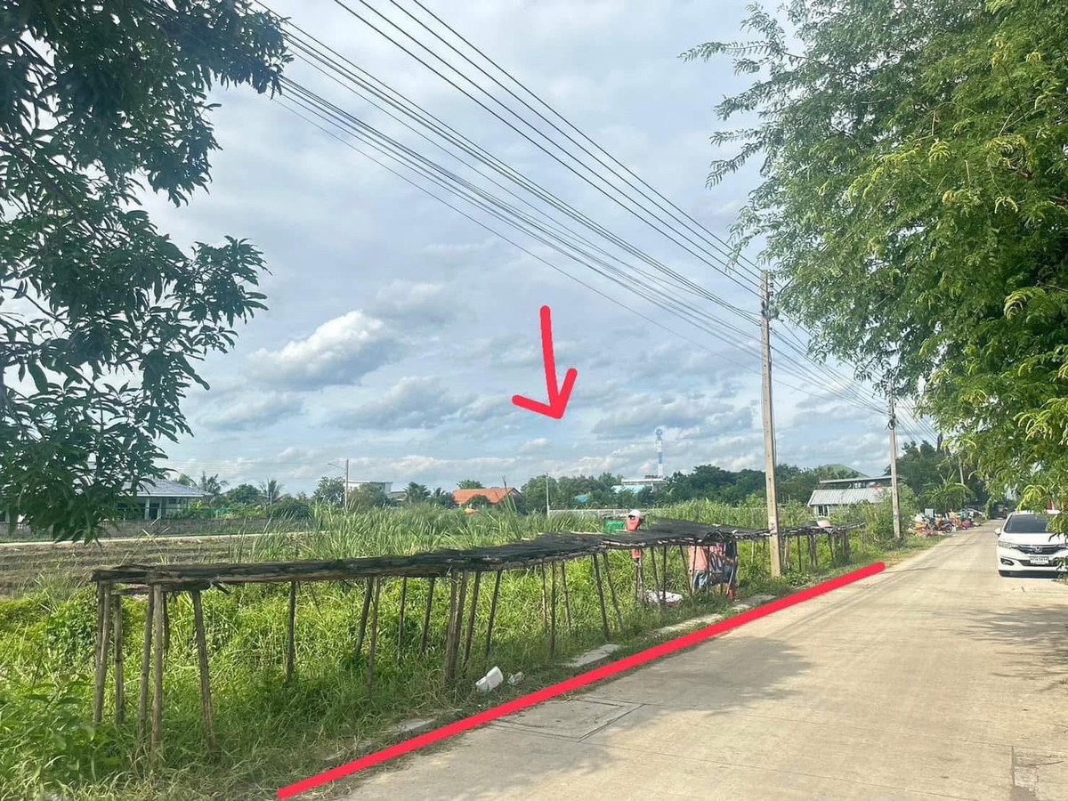 Urgently selling very cheap Land in Soi Bongkot 41, Liap Khlong 2 Road, Khlong Luang Subdistrict, Khlong Luang District, Pathum Thani Province. – รูปที่ 4