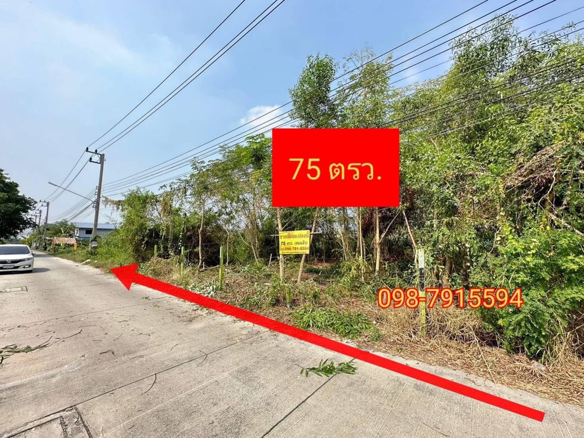 Land for sale, already filled in, size 75 sq m., Liap Khlong 2 Road, Khlong Luang Subdistrict, Khlong Luang District, Pathum Thani Province. – รูปที่ 2