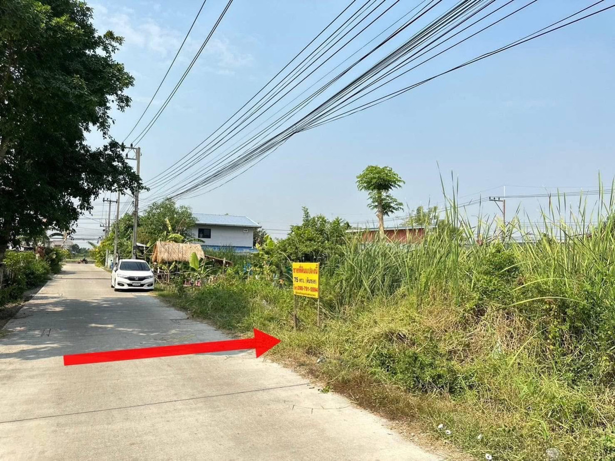 ขายที่ดินต้นซอยบงกช 43 ถนนเลียบคลอง 2 ต.คลองหลวง อ.คลองหลวง จ.ปทุมธานี  – รูปที่ 2