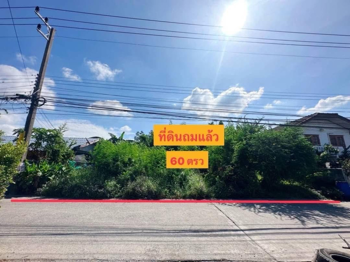 Land for sale, Phra Ong Chao Sai Road, Lam Luk Ka, Khlong 4, Soi Sawai Pracharat 17. – รูปที่ 3