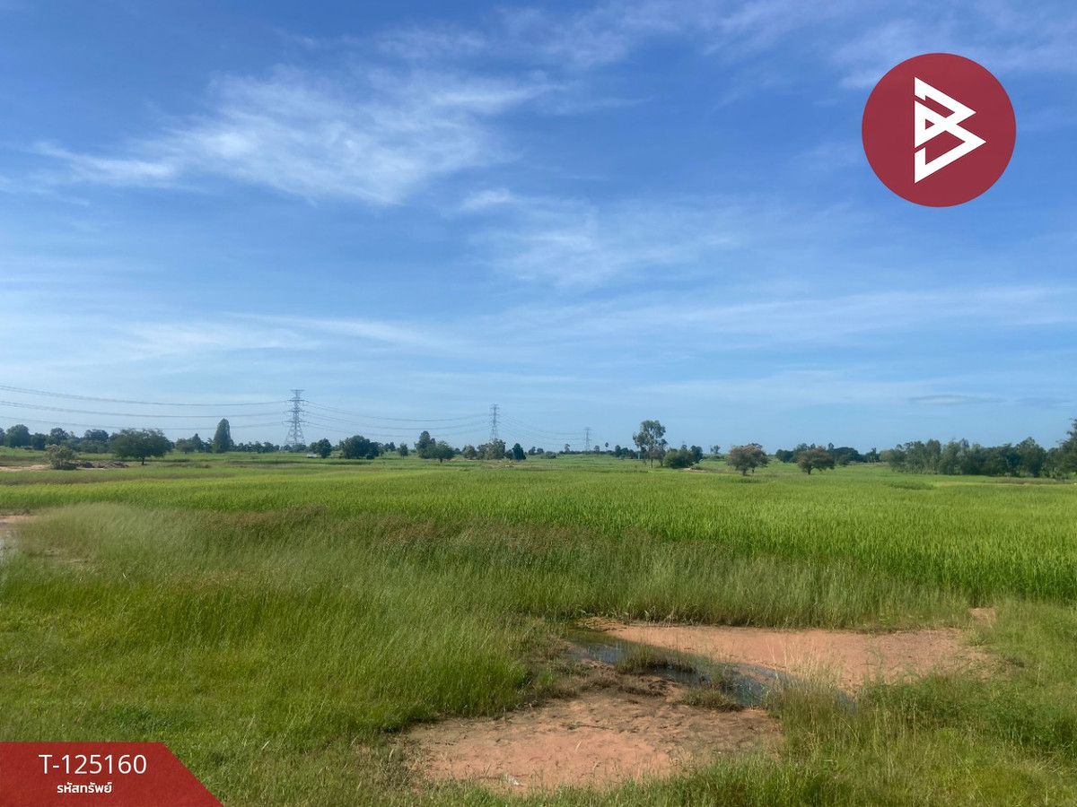 ขายที่ดิน เนื้อที่ 8 ไร่ บ้านไผ่ ขอนแก่น – รูปที่ 2