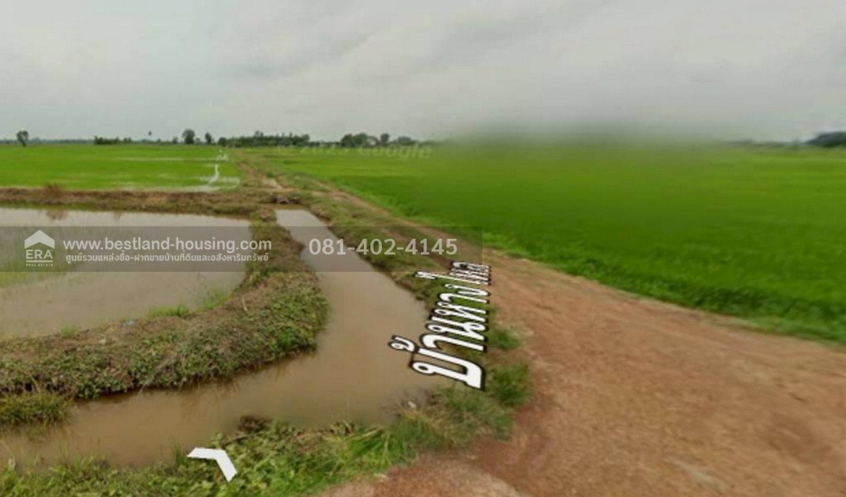 11 rai rice field for sale, Ban Hang Lai, Phrom Phiram District, Phitsanulok, 117-2 km. away. – รูปที่ 2