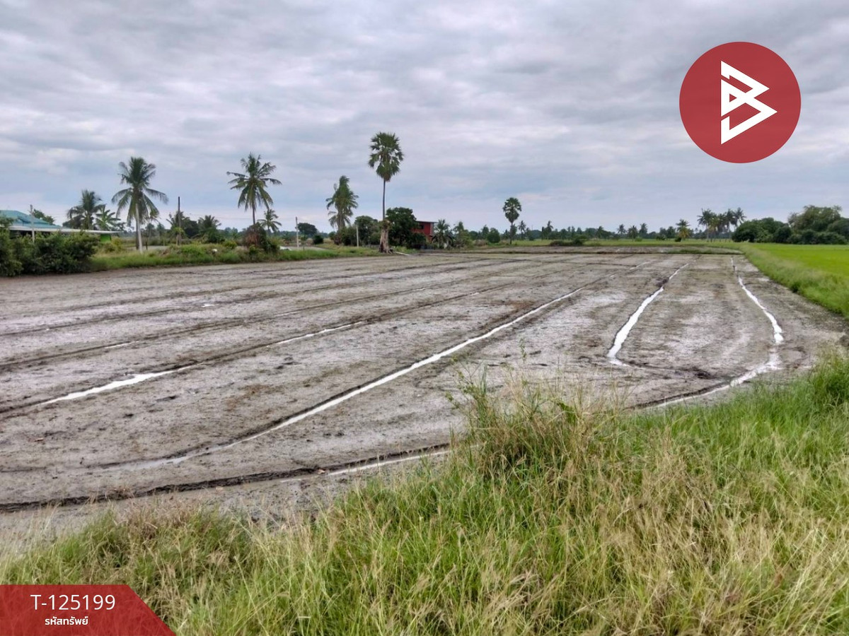 ขายที่ดิน เนื้อที่ 6 ไร่ 2 งาน 32 ตร.วา สามโก้ อ่างทอง – รูปที่ 3