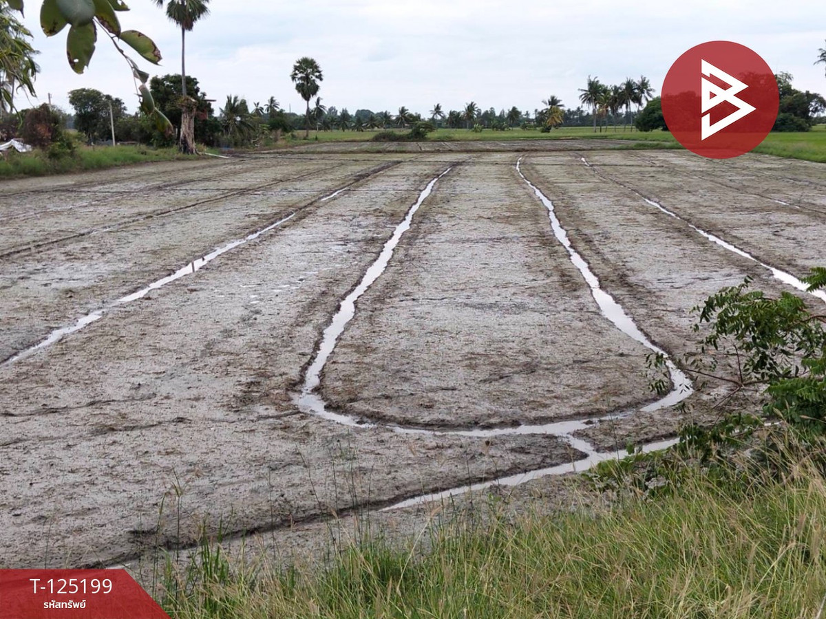 ขายที่ดิน เนื้อที่ 6 ไร่ 2 งาน 32 ตร.วา สามโก้ อ่างทอง – รูปที่ 4