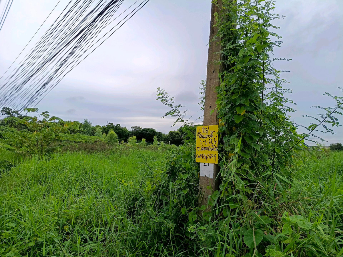 Empty land for sale in Theparak – รูปที่ 4