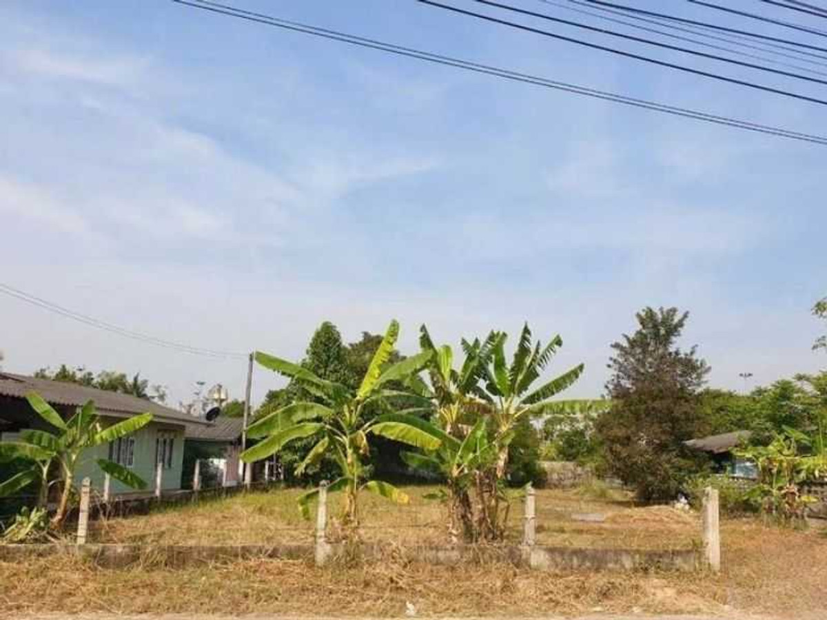 ขายที่ดินบางเสร่ 190 ตร.วา ใกล้แหล่งท่องเที่ยว เหมาะสร้างพูลวิลล่าหรือรีสอร์ท