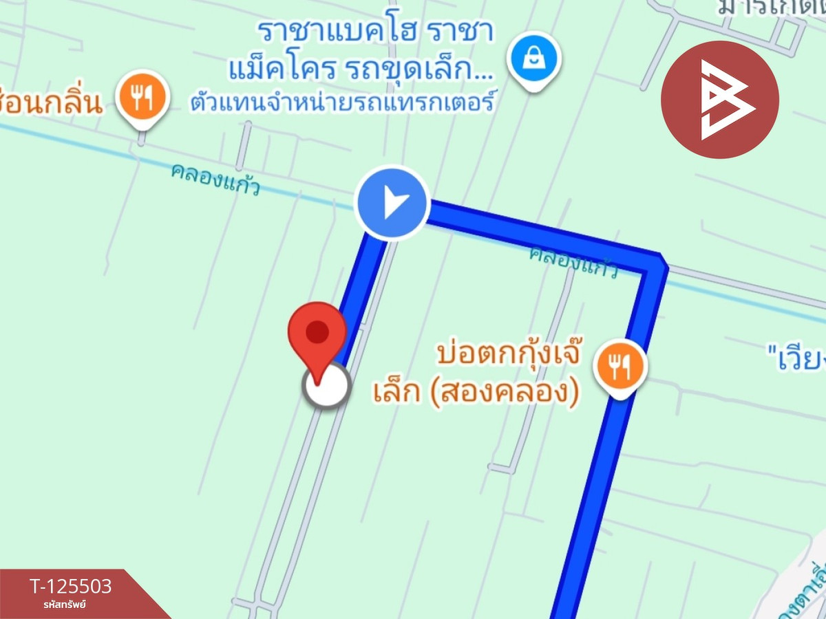 ขายที่ดิน เนื้อที่ 100 ตารางวา บางปะกง ฉะเชิงเทรา – รูปที่ 4