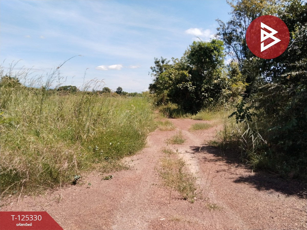 Land for sale, area 2 ngan 60 sq m, Kabin Buri, Prachin Buri – รูปที่ 3