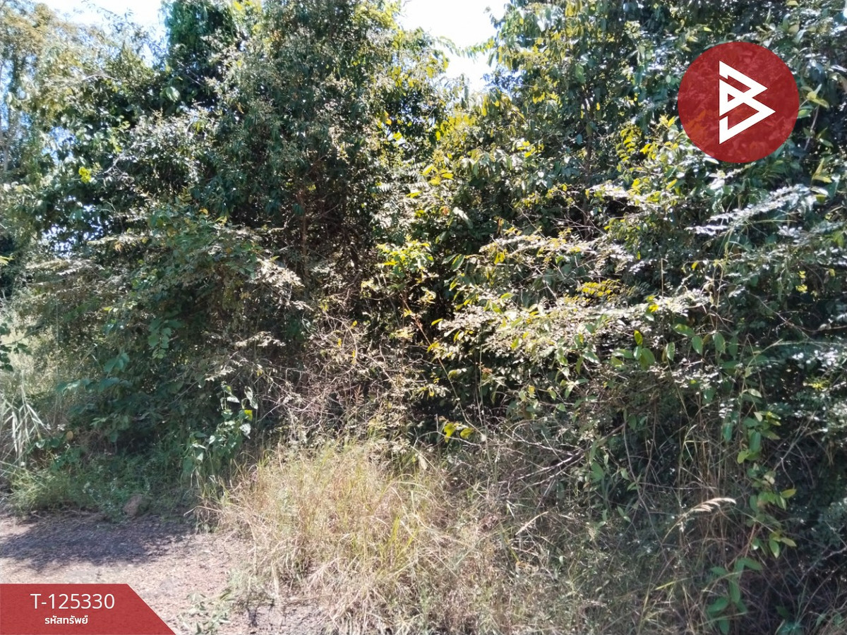 Land for sale, area 2 ngan 60 sq m, Kabin Buri, Prachin Buri – รูปที่ 4