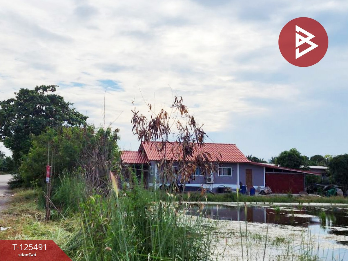 ขายที่ดิน 2 แปลง เนื้อที่ 13 ไร่ 1 งาน 38 ตารางวา ไทรน้อย นนทบุรี – รูปที่ 4