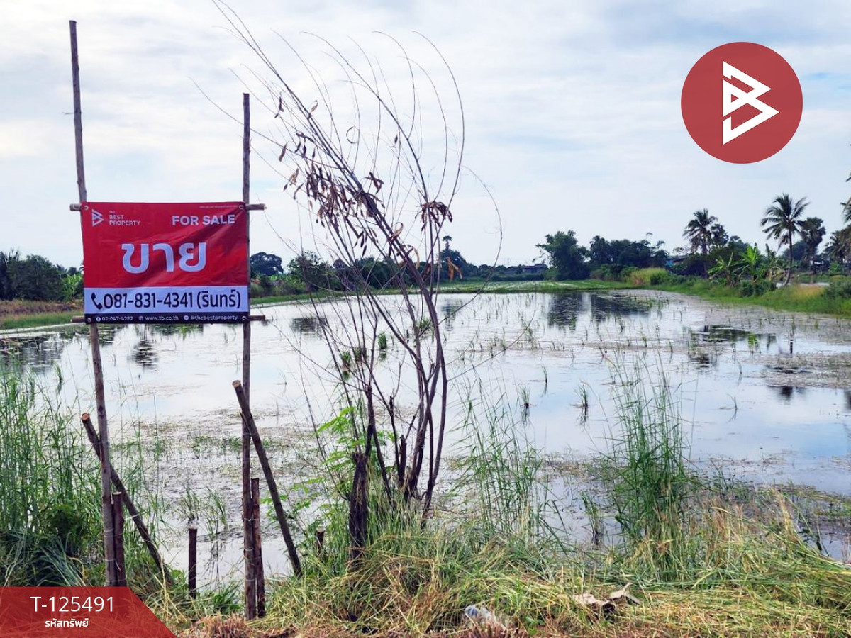 ขายที่ดิน 2 แปลง เนื้อที่ 13 ไร่ 1 งาน 38 ตารางวา ไทรน้อย นนทบุรี ขายที่ดิน 2 แปลง เนื้อที่ 13 ไร่ 1 งาน 38 ตารางวา ไทรน้อย นนทบุรี