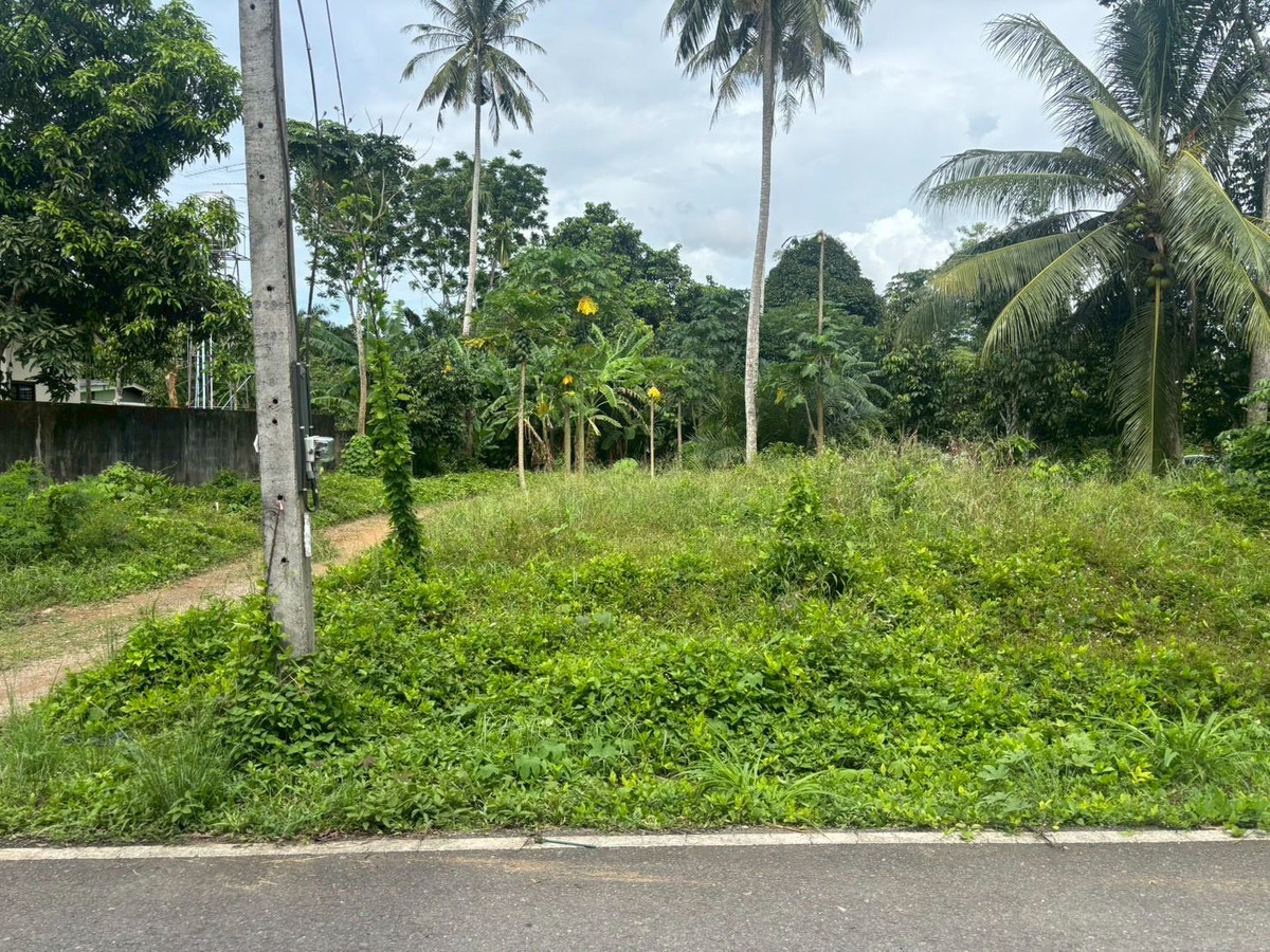 Land for sale near Wat Khok Lor, Trang Province, good location in the heart of the city. Near Lotus Trang Land for sale near Wat Khok Lor, Trang Province, good location in the heart of the city. Near Lotus Trang
