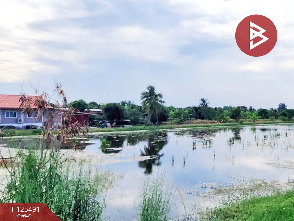 ขายที่ดิน 2 แปลง เนื้อที่ 13 ไร่ 1 งาน 38 ตารางวา ไทรน้อย นนทบุรี – รูปที่ 2