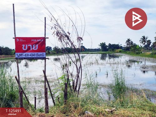2 plots of land for sale, area 13 rai 1 ngan 38 square wah, Sai Noi, Nonthaburi