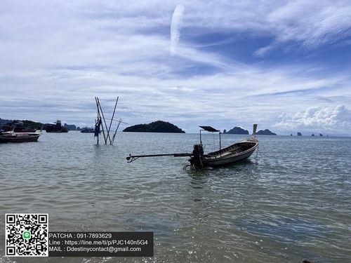 Land for sale with title deed, beautiful plot next to the sea, along the beach, beautiful atmosphere.