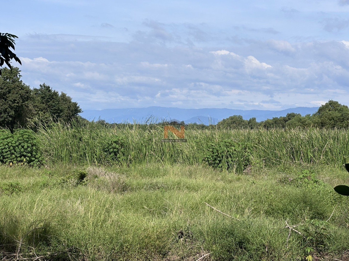 Land 108-2-6 rai, price only 3.2 hundred thousand baht/rai. – รูปที่ 2