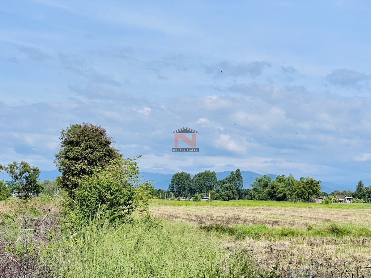Land 108-2-6 rai, price only 3.2 hundred thousand baht/rai. Land 108-2-6 rai, price only 3.2 hundred thousand baht/rai.