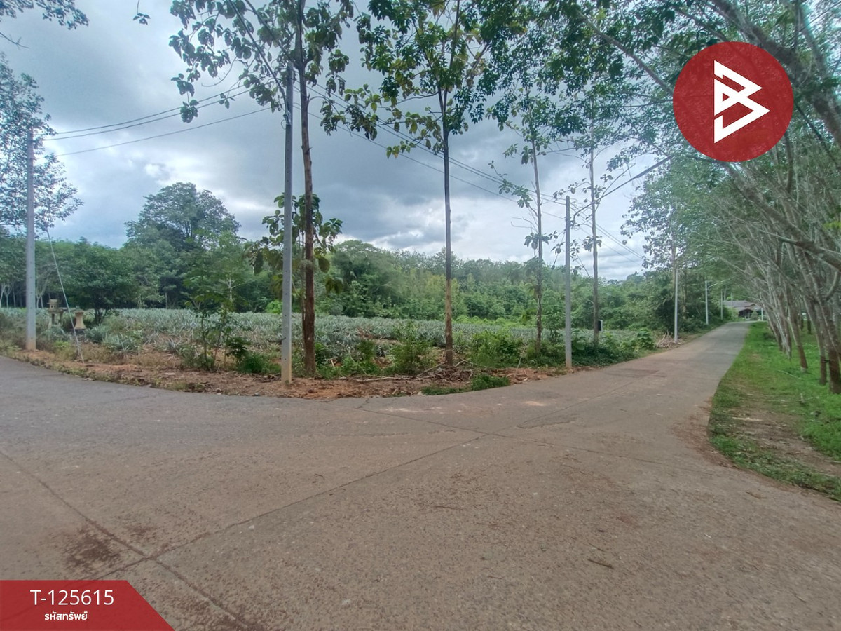 ขายที่ดิน เนื้อที่ 7 ไร่ 1 งาน 36 ตารางวา หนองโสน ตราด – รูปที่ 3