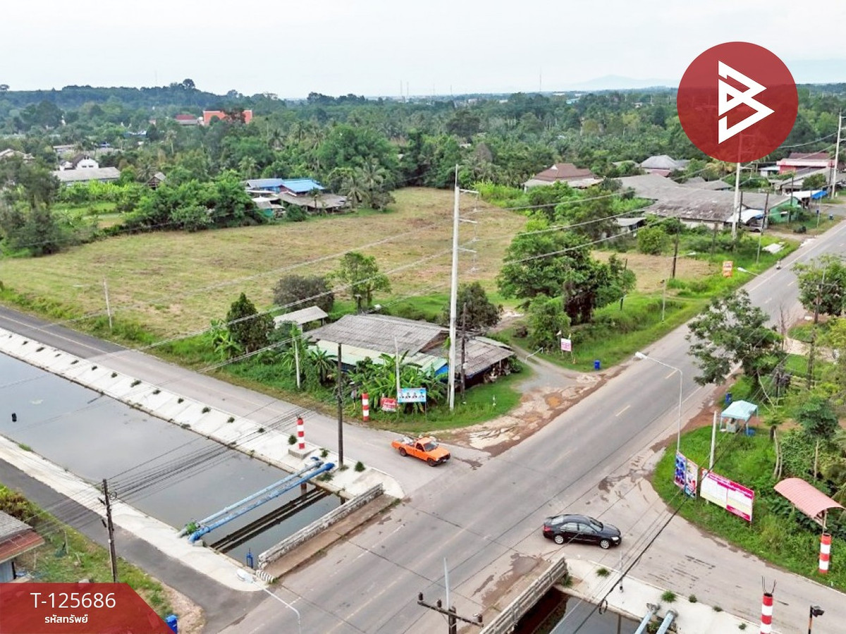 Land for sale, area 8 rai 42 sq m, Nong Samet, Trat. – รูปที่ 4