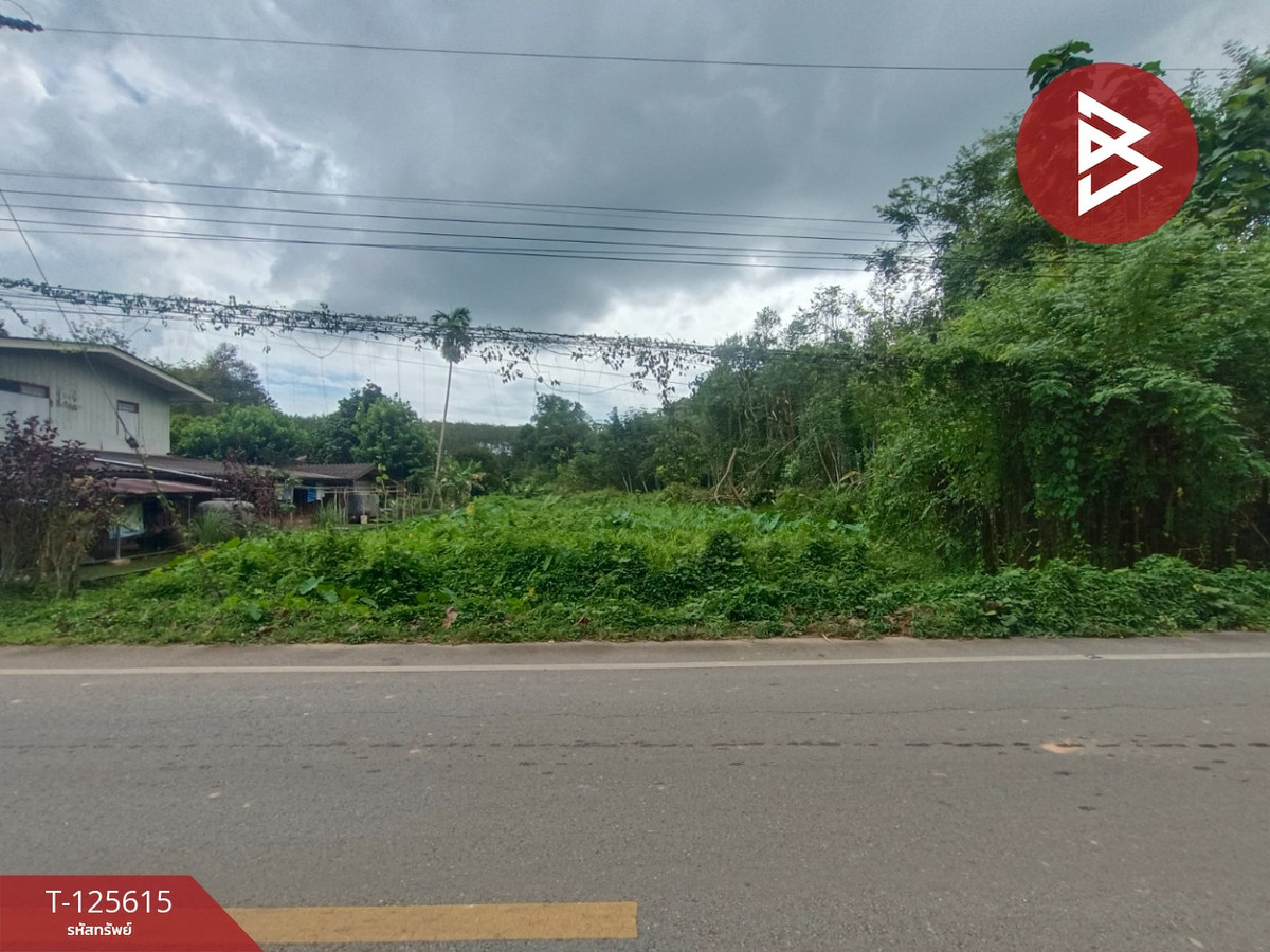 ขายที่ดิน เนื้อที่ 7 ไร่ 1 งาน 36 ตารางวา หนองโสน ตราด – รูปที่ 2