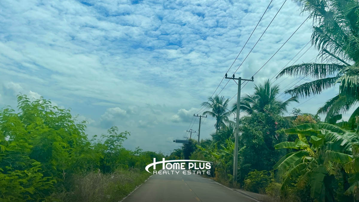 ที่ดินติดบริษัทอัลนะห์ดีพริ้นติ้งจำกัด อำเภอลาดหลุมแก้ว ปทุมธานี เนื้อที่ 100 ตารางวา – รูปที่ 3