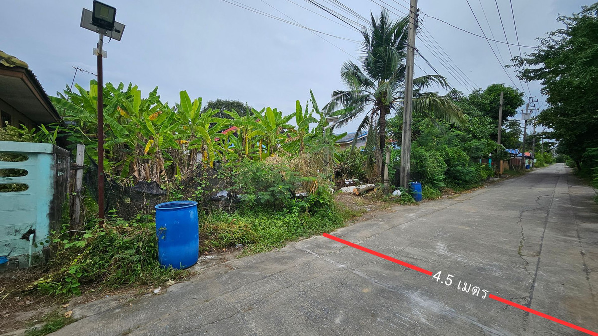 ขายที่ดินถมแล้ว 90 ตร.ว. หมู่บ้านปีกไม้ บางใหญ่ – ใกล้เซ็นทรัลเวสต์เกตทำเลศักยภาพ ราคาต่ำกว่าตลาด เหมาะซื้อเก็บลงทุนหรือสร้างบ้าน !! – รูปที่ 4