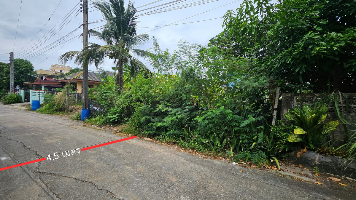 ขายที่ดินถมแล้ว 90 ตร.ว. หมู่บ้านปีกไม้ บางใหญ่ – ใกล้เซ็นทรัลเวสต์เกตทำเลศักยภาพ ราคาต่ำกว่าตลาด เหมาะซื้อเก็บลงทุนหรือสร้างบ้าน !! – รูปที่ 2
