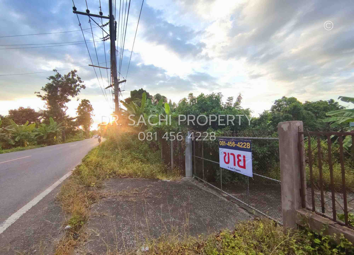 Land for sale, 135 sq m., next to Road 1156 (Sob Tha-Tha Li), Pak Bong Subdistrict, Pa Sang District, Lamphun Province.