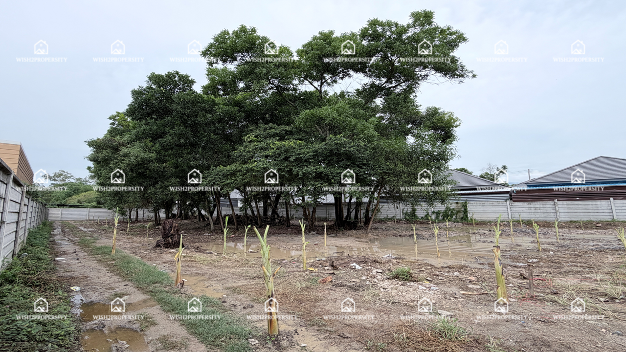 Land for sale, adjacent to a residential estate in Koh Khwang, Chanthaburi – รูปที่ 3