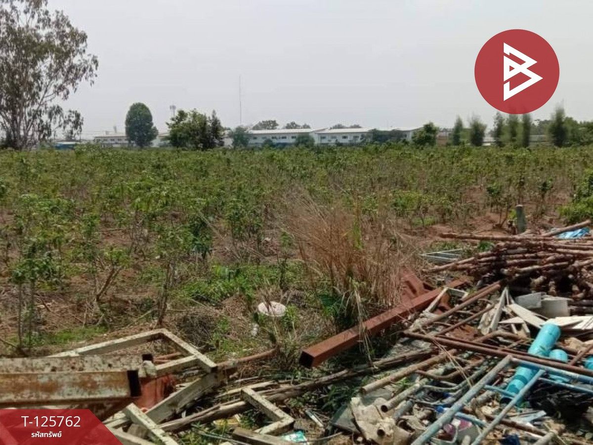 ขายที่ดิน เนื้อที่ 4 ไร่ 46 ตร.วา ศรีมหาโพธิ ปราจีนบุรี – รูปที่ 2