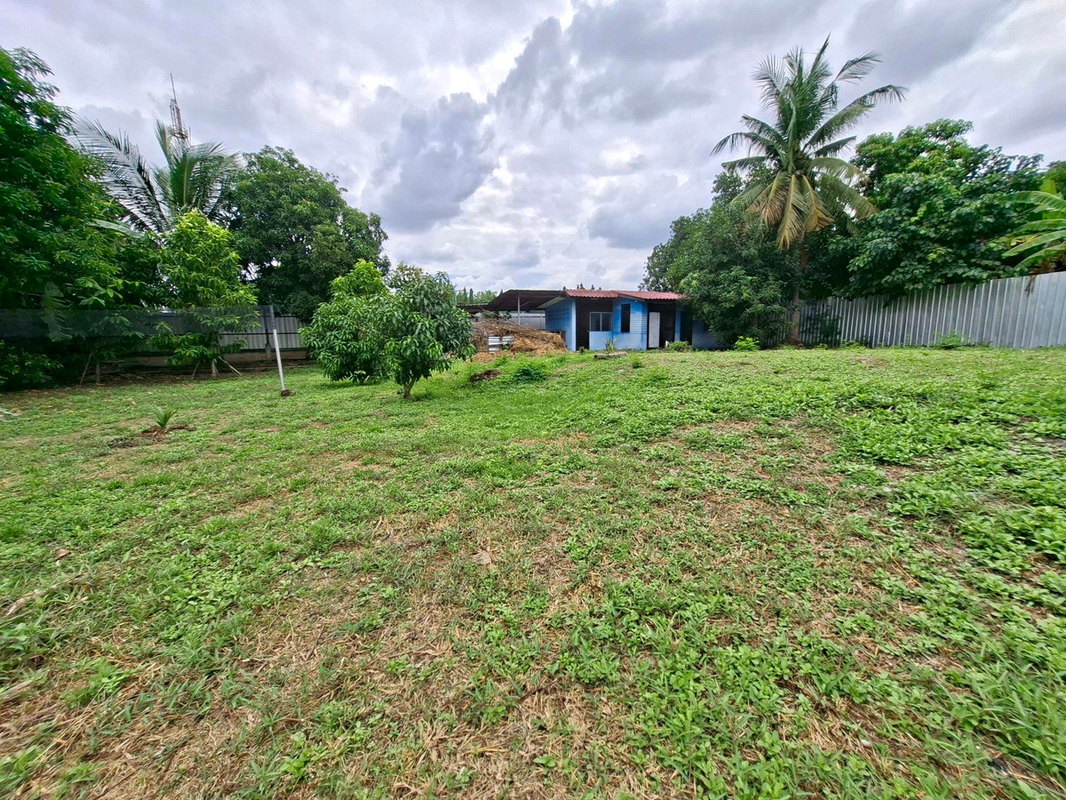 🌿ที่ดินให้เช่าระยะยาว แจ้งวัฒนะ–ปากเกร็ด 24⚡เนื้อที่ 250 ตรว. ผังน้ำตาล ใกล้รถไฟฟ้าสีชมพู• Central แจ้งวัฒนะ•World Medical hospital สนใจ 📞099 415 2664 🌿ที่ดินให้เช่าระยะยาว แจ้งวัฒนะ–ปากเกร็ด 24⚡เนื้อที่ 250 ตรว. ผังน้ำตาล ใกล้รถไฟฟ้าสีชมพู• Central แจ้งวัฒนะ•World Medical hospital สนใจ 📞099 415 2664