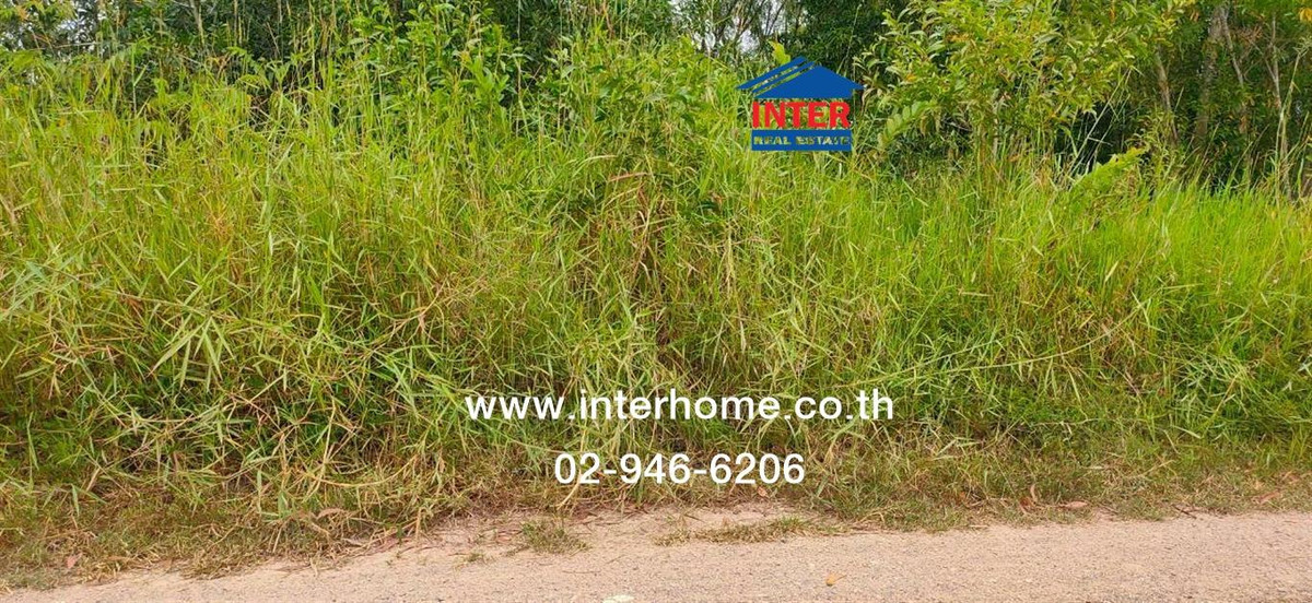 ที่ดินเปล่า 100 ตร.ว. ที่ดิน ซอยคลองหกตะวันตก53 ถนนรังสิต-นครนายก ถนนคลองหก คลองหลวง ปทุมธานี – รูปที่ 4