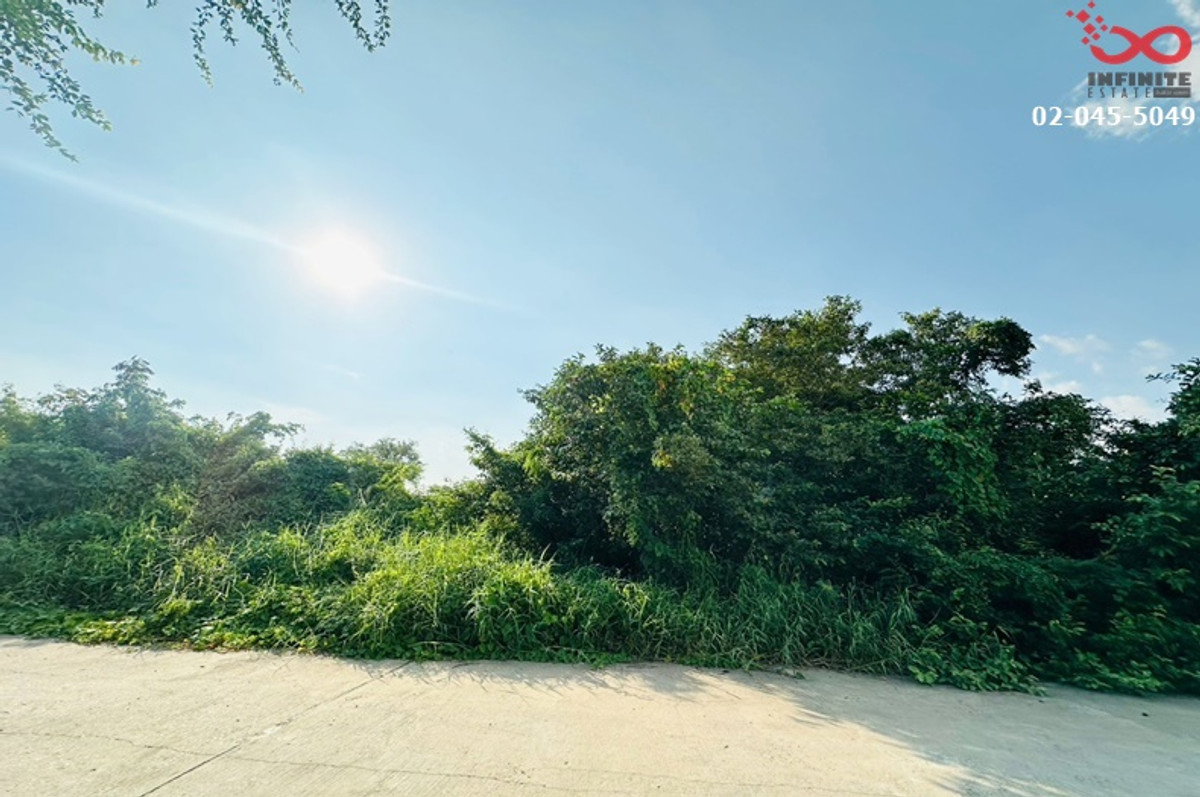 Land for sale, Road 347, Pathum Thani-Bang Pahan, 173 sq m., Ban Mai, Ayutthaya. – รูปที่ 4