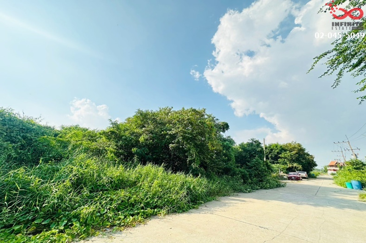 Land for sale, Road 347, Pathum Thani-Bang Pahan, 173 sq m., Ban Mai, Ayutthaya. – รูปที่ 3