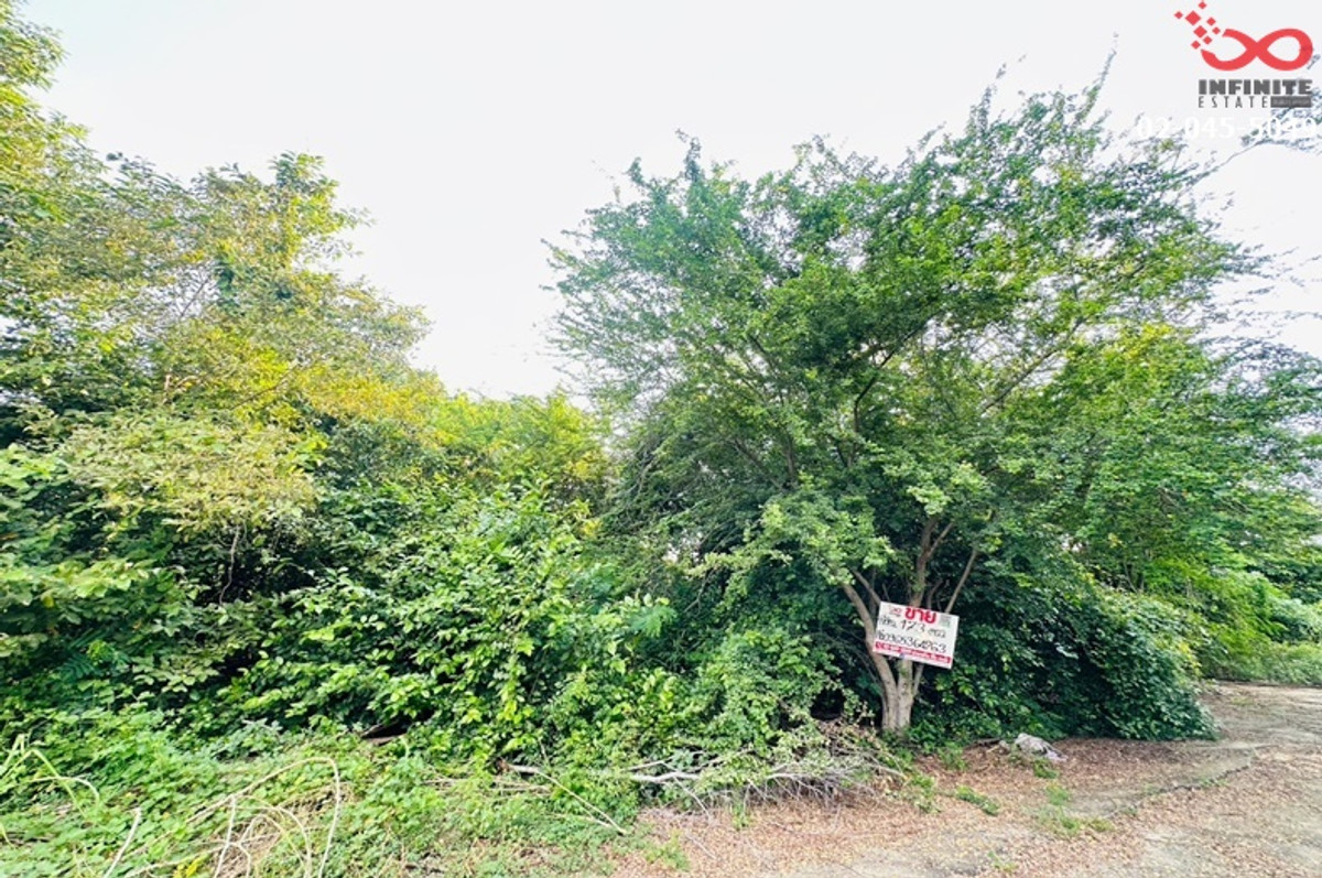 Land for sale, Road 347, Pathum Thani-Bang Pahan, 173 sq m., Ban Mai, Ayutthaya. – รูปที่ 2