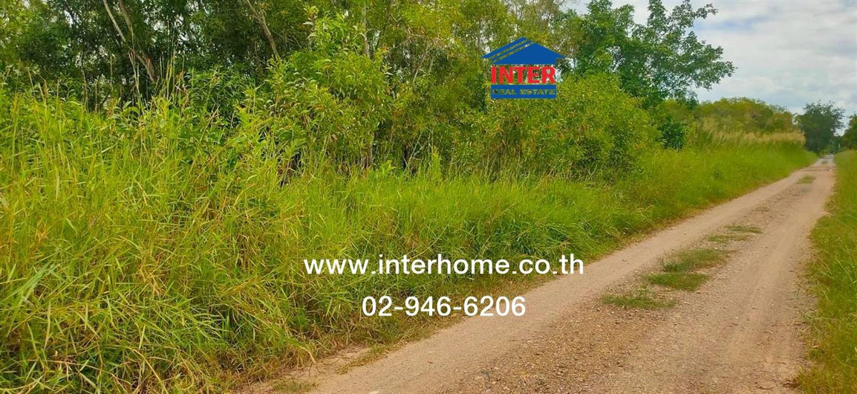 ที่ดินเปล่า 100 ตร.ว. ที่ดิน ซอยคลองหกตะวันตก53 ถนนรังสิต-นครนายก ถนนคลองหก คลองหลวง ปทุมธานี – รูปที่ 3