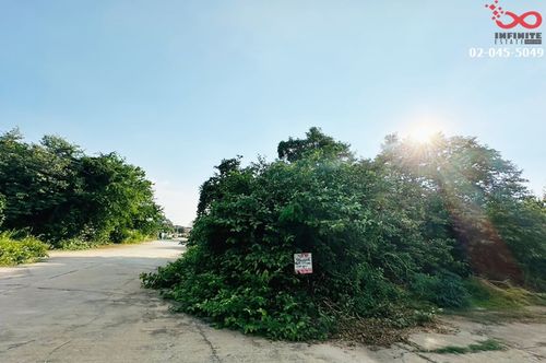 Land for sale, Road 347, Pathum Thani-Bang Pahan, 173 sq m., Ban Mai, Ayutthaya.