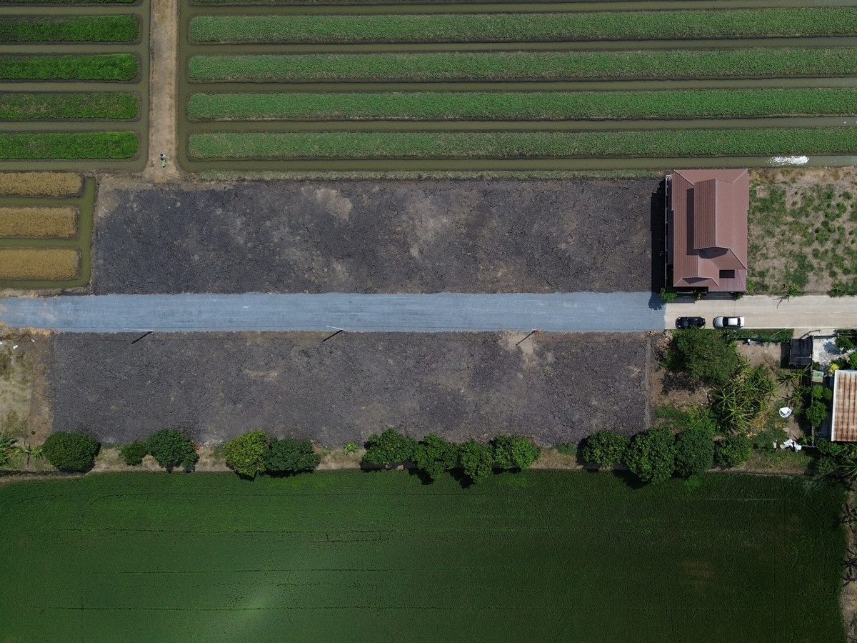 Land for sale, prime location, Thawi Watthana-Sai Noi, Nonthaburi, area 100 square meters per plot. – รูปที่ 3